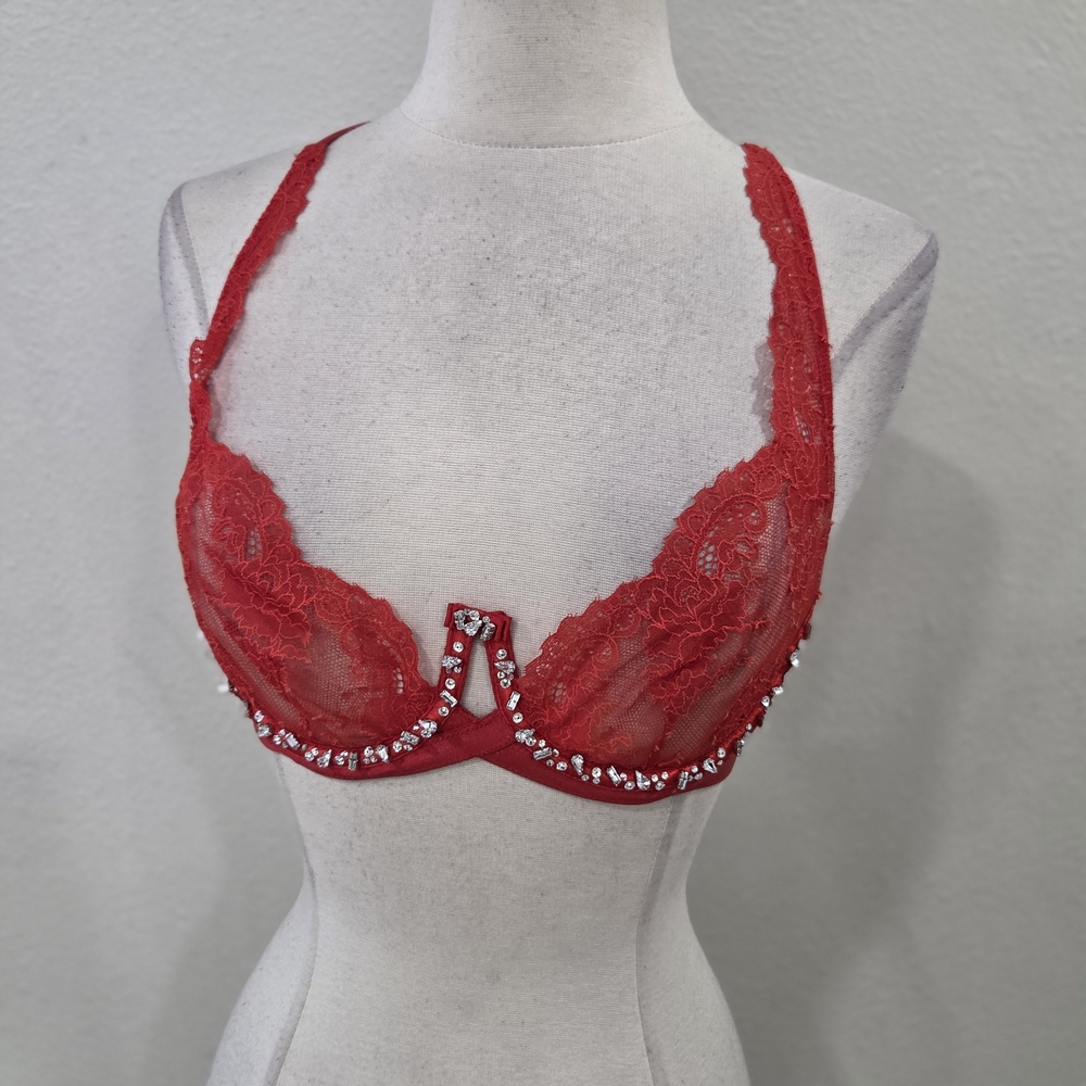 Victoria's Secret designer crystal t-back bra Fashion Show 2014